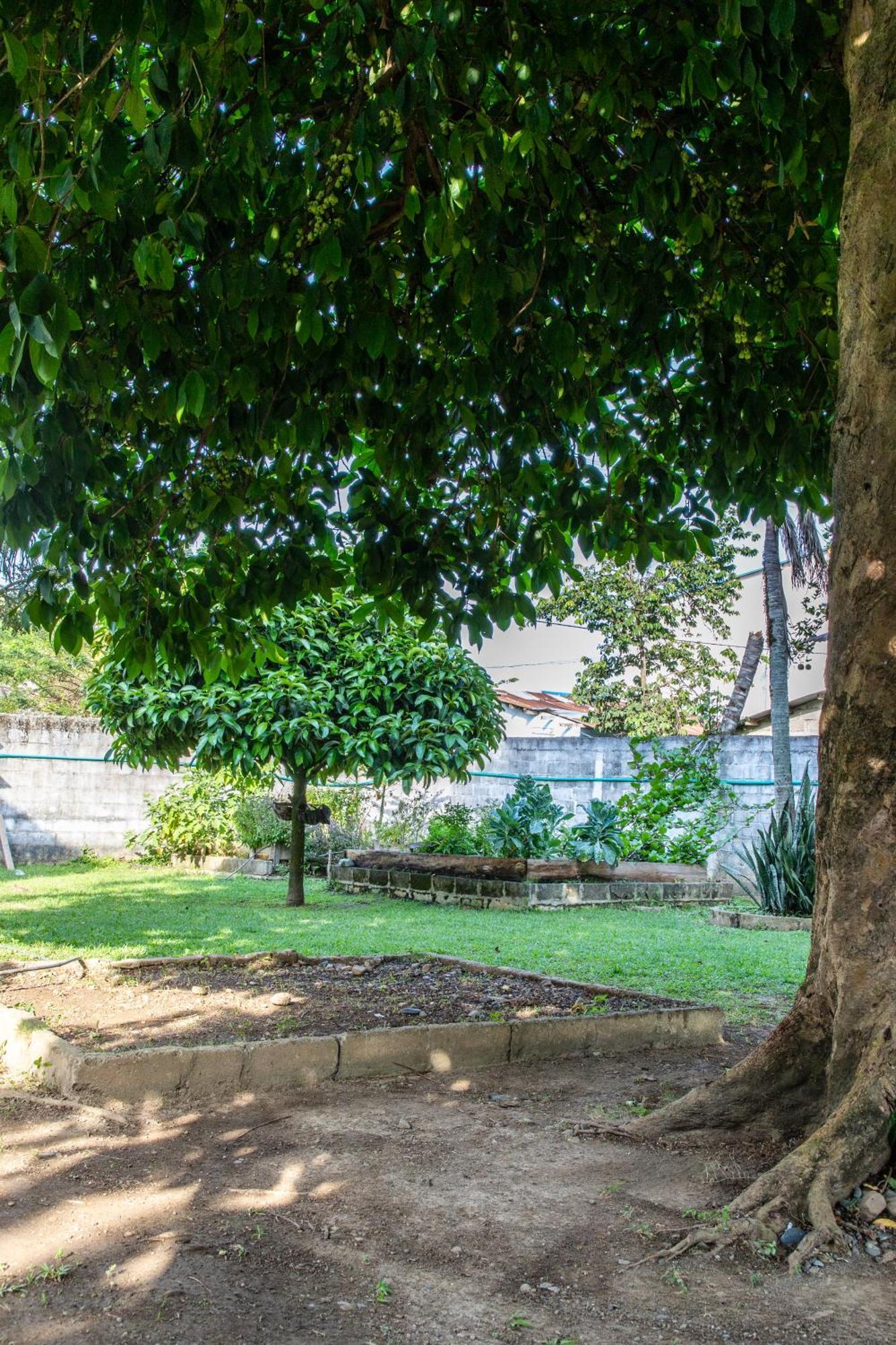 Cabanas Los Almendros Капургана Экстерьер фото